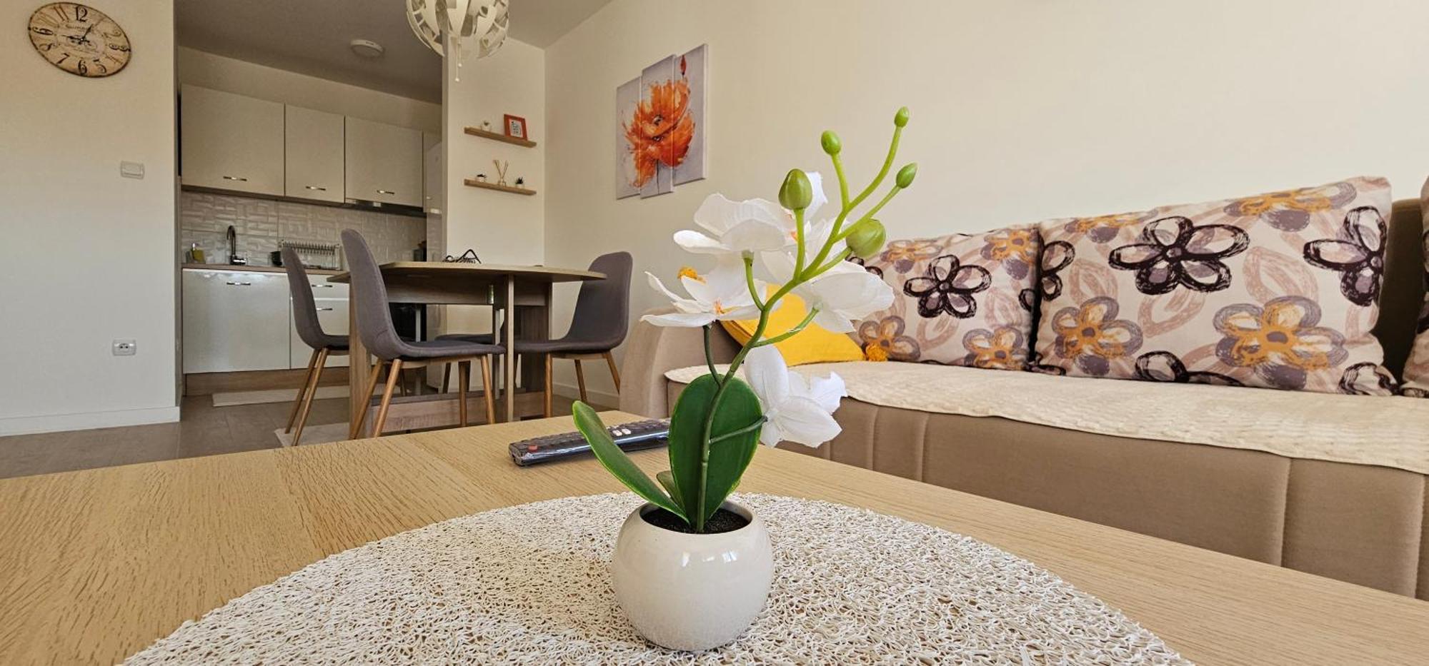 Apartman Vukota 2 Pirot Exterior photo